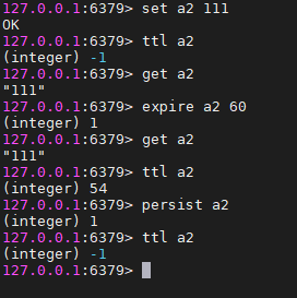 image-20210103194117895